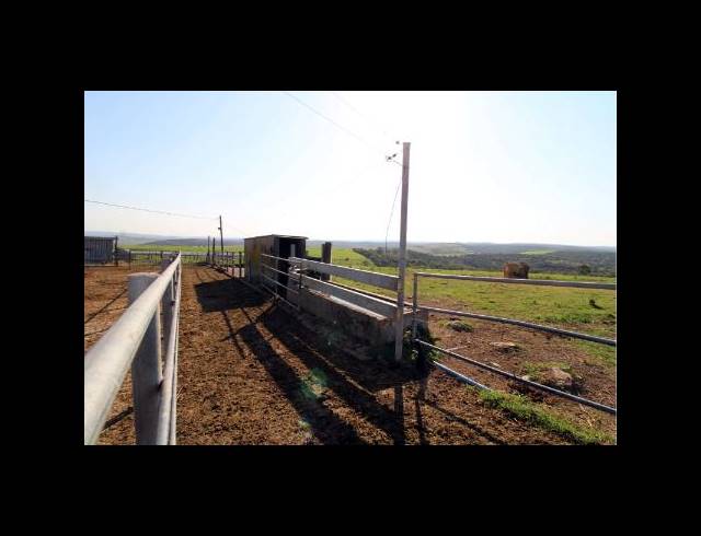 473HA FARM FOR SALE IN EAST LONDON RURAL